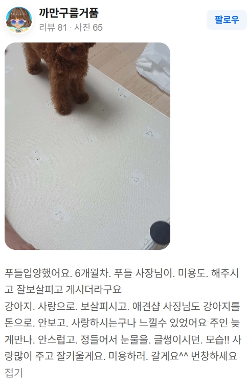 행복만개 인천본점(전, 퍼피캣 인천신현점) 게시판 이미지 4