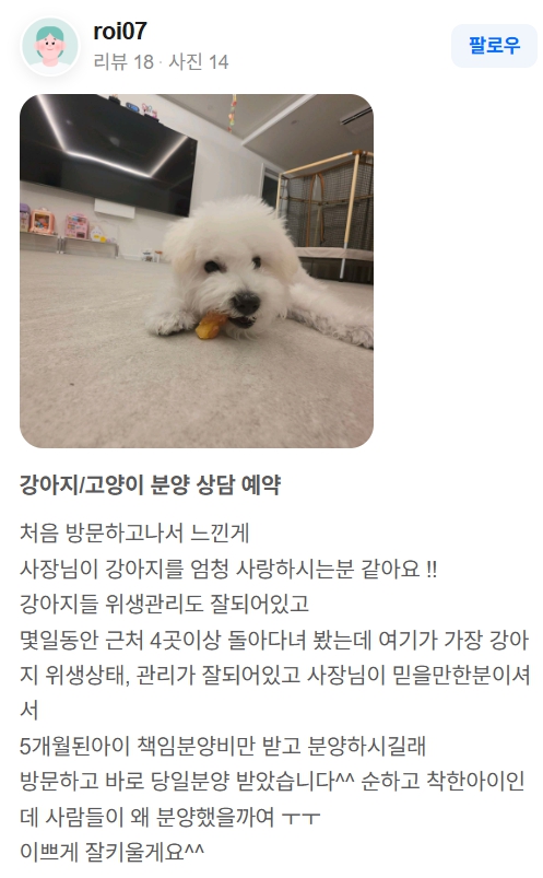 행복만개 인천본점(전, 퍼피캣 인천신현점) 게시판 이미지 3