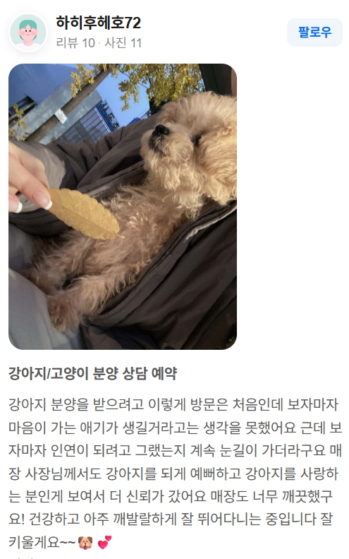 행복만개 인천본점(전, 퍼피캣 인천신현점) 게시판 이미지 2