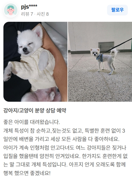 행복만개 인천본점(전, 퍼피캣 인천신현점) 게시판 이미지 1