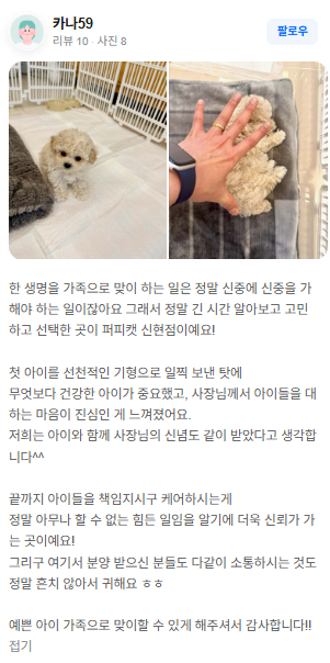 행복만개 인천본점(전, 퍼피캣 인천신현점) 게시판 이미지 5