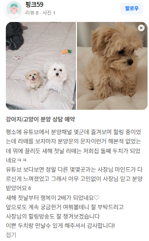 행복만개 인천본점(전, 퍼피캣 인천신현점) 게시판 이미지 4