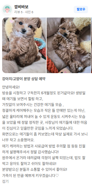 행복만개 인천본점(전, 퍼피캣 인천신현점) 게시판 이미지 3
