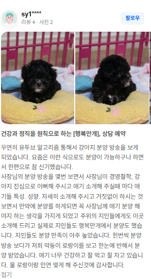 행복만개 인천본점(전, 퍼피캣 인천신현점) 게시판 이미지 2