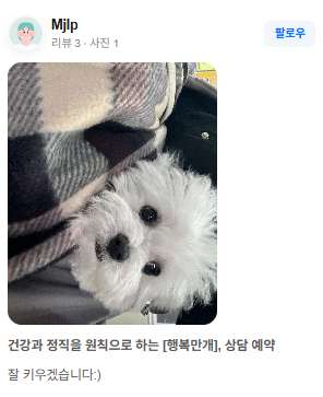 행복만개 인천본점(전, 퍼피캣 인천신현점) 게시판 이미지 1