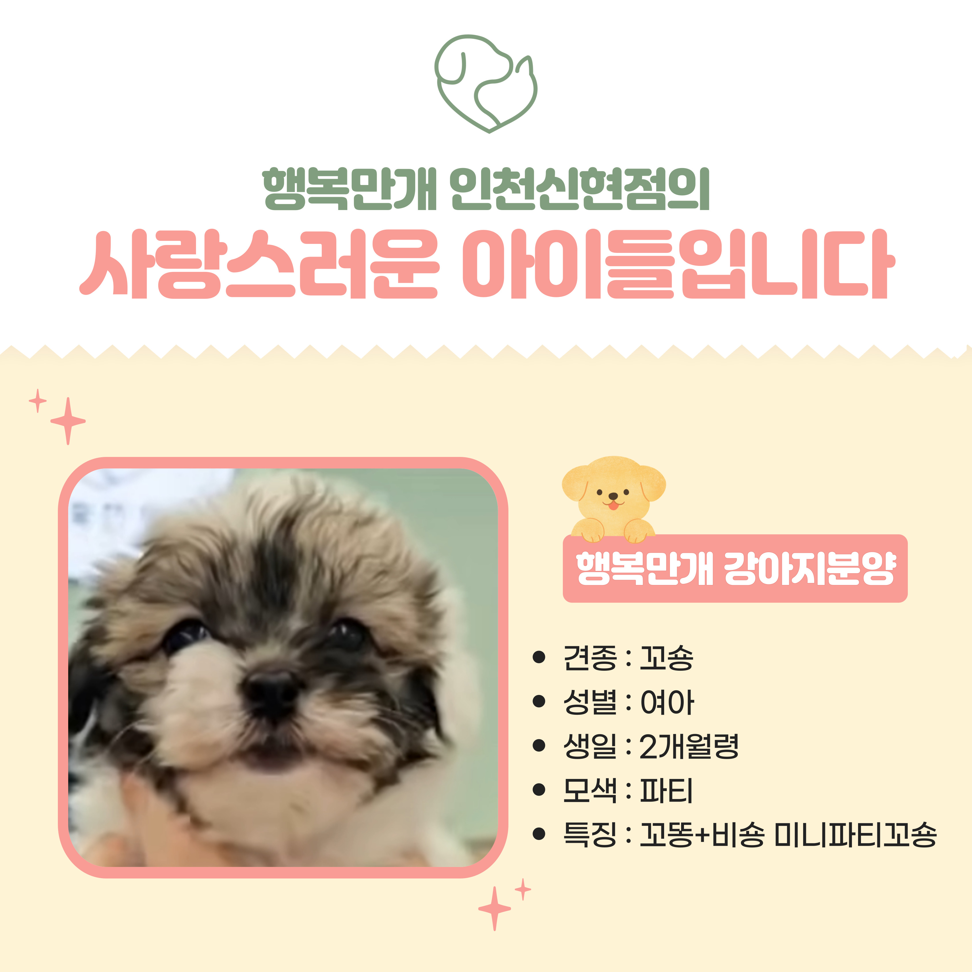행복만개 인천본점(전, 퍼피캣 인천신현점) 게시판 이미지 5
