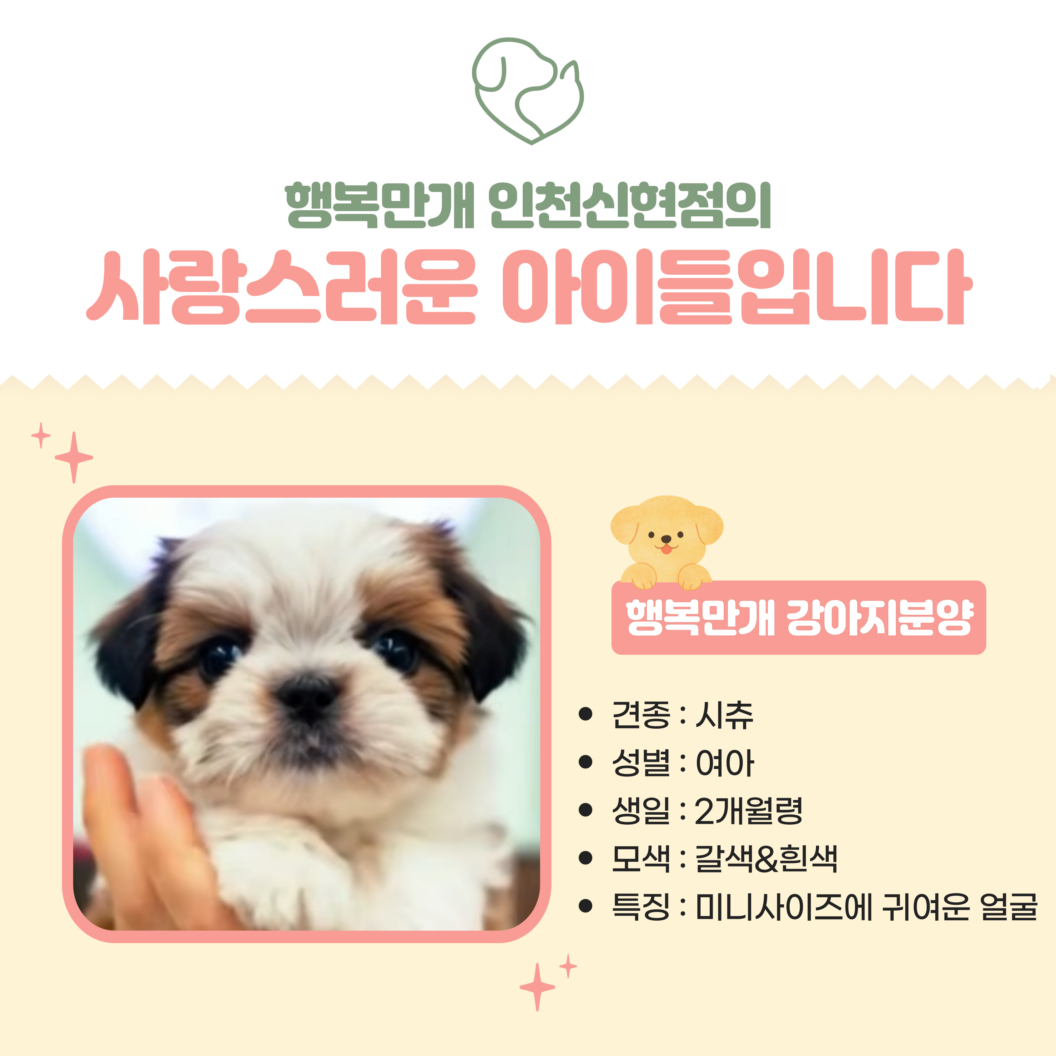 행복만개 인천본점(전, 퍼피캣 인천신현점) 게시판 이미지 4