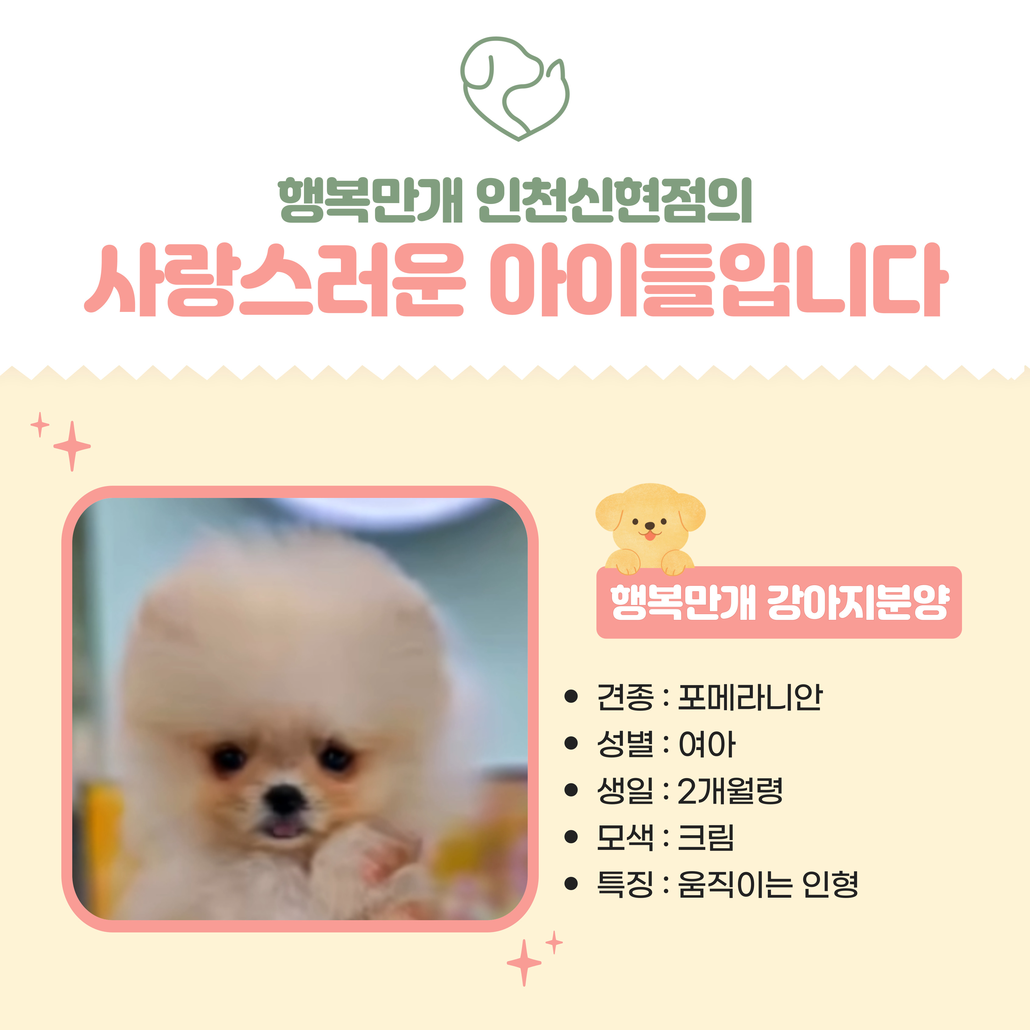 행복만개 인천본점(전, 퍼피캣 인천신현점) 게시판 이미지 1