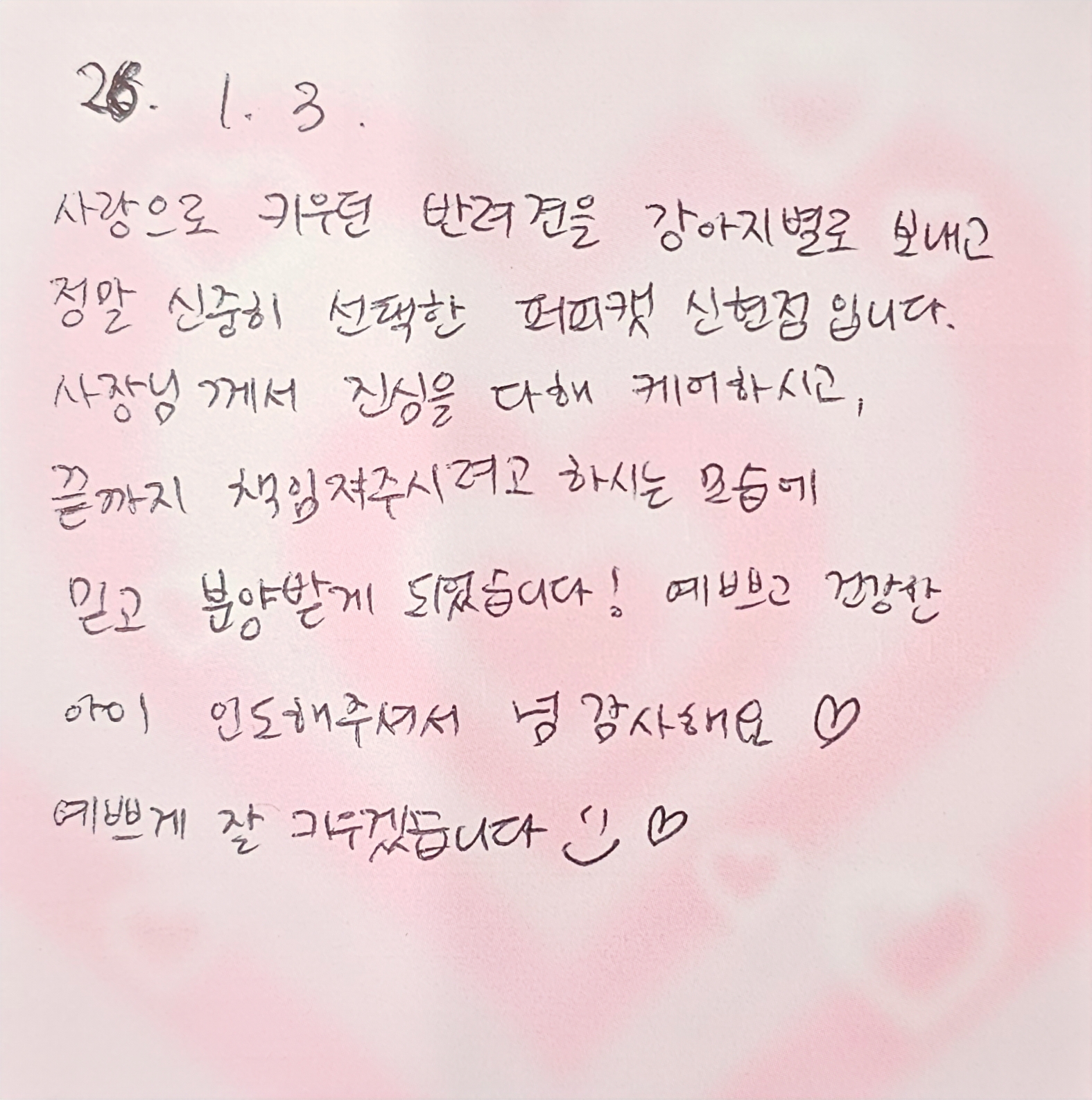 행복만개 인천본점(전, 퍼피캣 인천신현점) 게시판 이미지 4