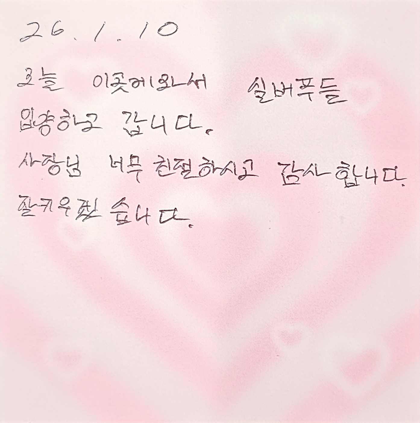 행복만개 인천본점(전, 퍼피캣 인천신현점) 게시판 이미지 3